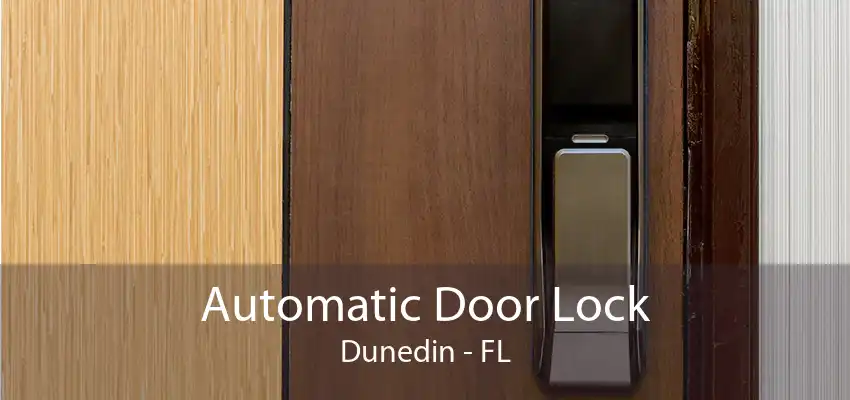 Automatic Door Lock Dunedin - FL