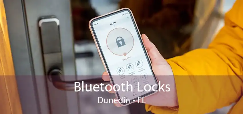 Bluetooth Locks Dunedin - FL