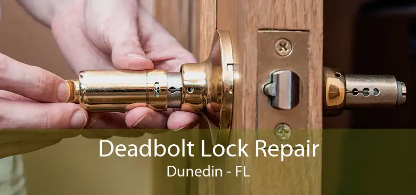 Deadbolt Lock Repair Dunedin - FL