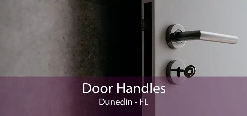 Door Handles Dunedin - FL