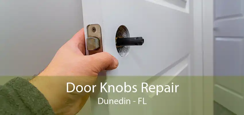 Door Knobs Repair Dunedin - FL