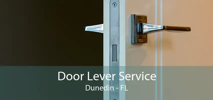 Door Lever Service Dunedin - FL