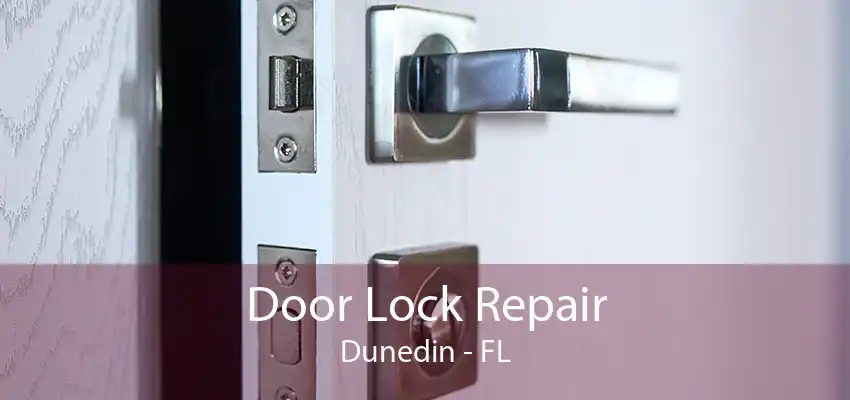 Door Lock Repair Dunedin - FL