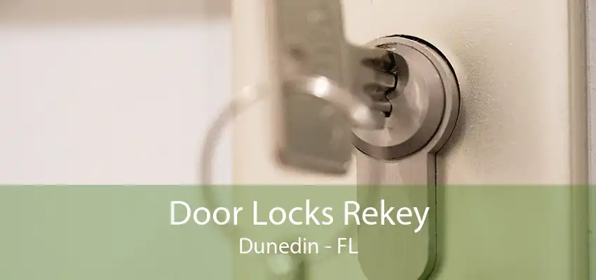 Door Locks Rekey Dunedin - FL