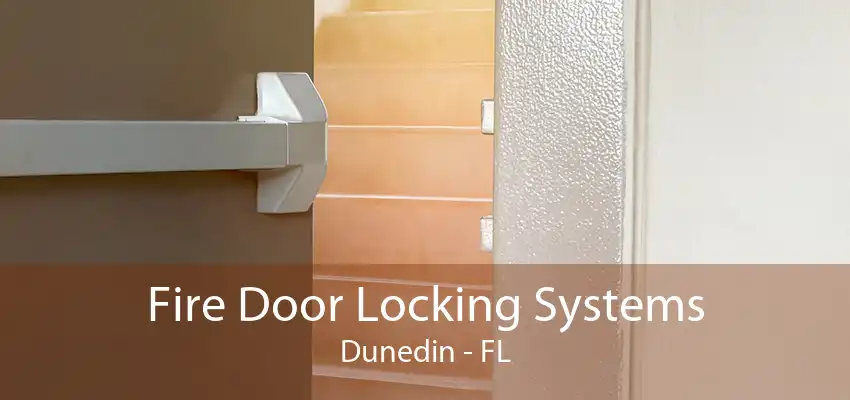 Fire Door Locking Systems Dunedin - FL