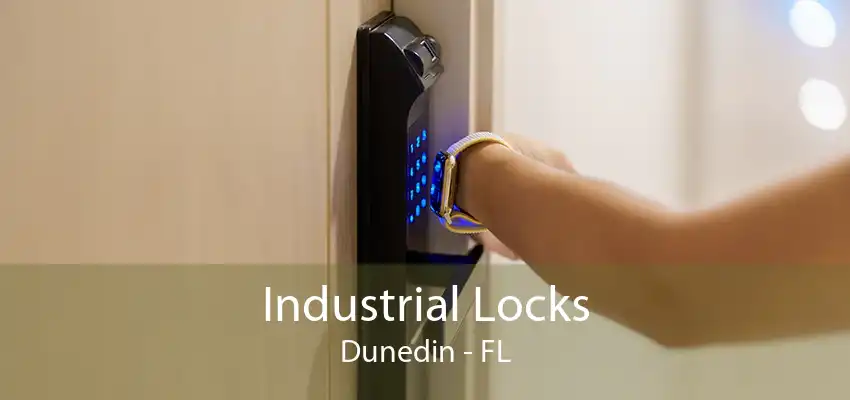 Industrial Locks Dunedin - FL