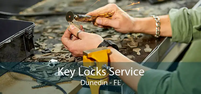 Key Locks Service Dunedin - FL