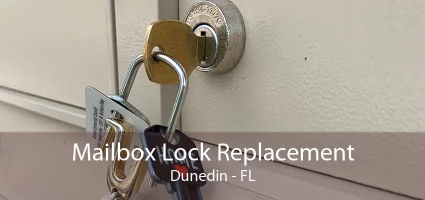 Mailbox Lock Replacement Dunedin - FL