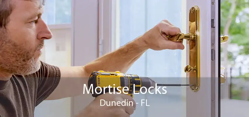 Mortise Locks Dunedin - FL