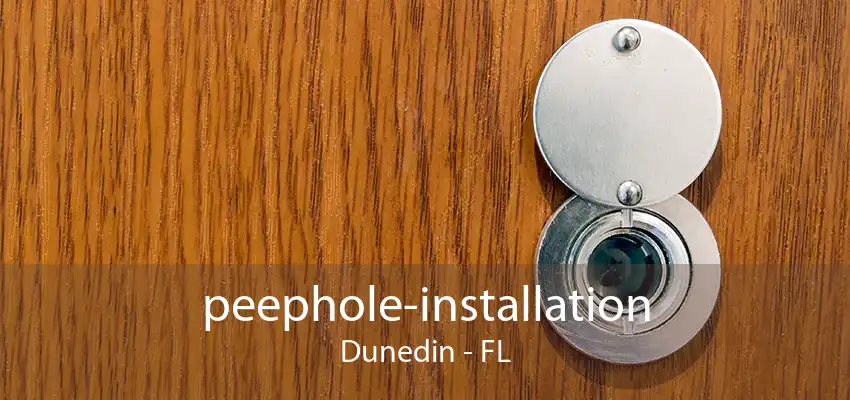 peephole-installation Dunedin - FL