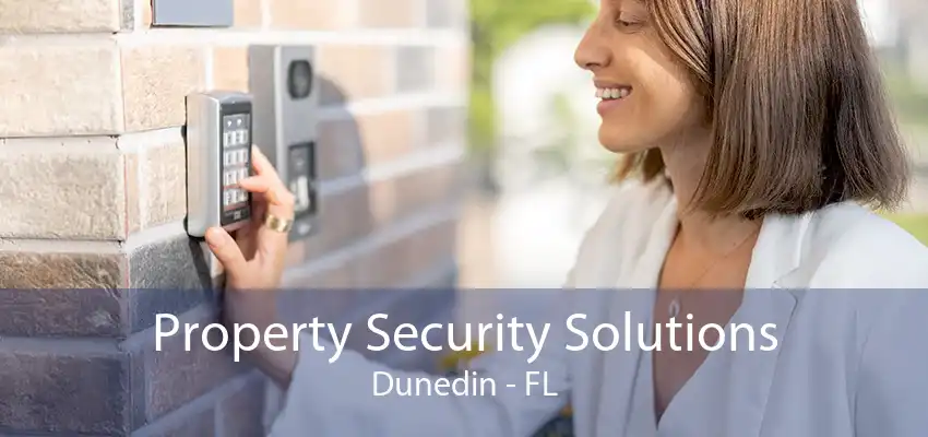 Property Security Solutions Dunedin - FL