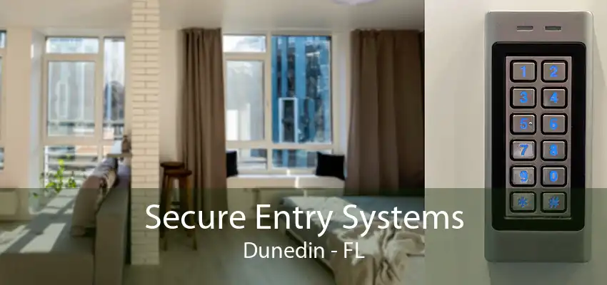 Secure Entry Systems Dunedin - FL