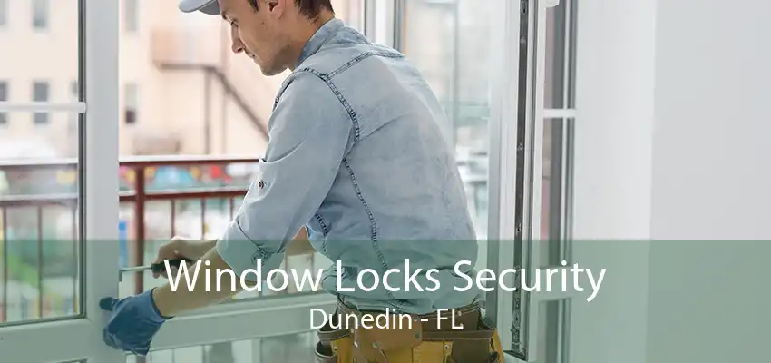 Window Locks Security Dunedin - FL